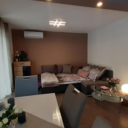 Novigrad Istria Villa Elke Maria With Overflow Pool And Hydromassage חדר תמונה